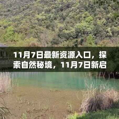 11月7日新启程,探索自然秘境,寻找内心宁静与平和的入口