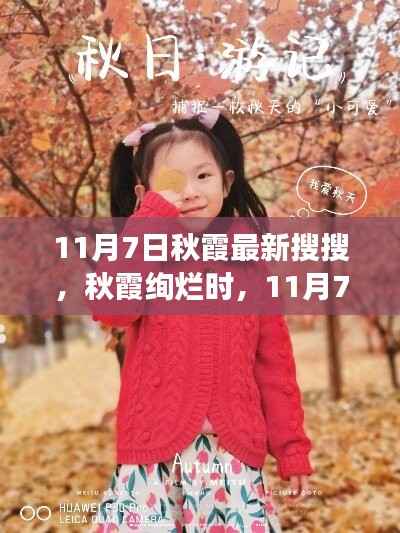 秋霞绚烂时,小红书最新探索与发现之旅(11月7日最新更新)