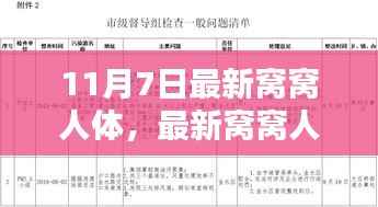 最新窝窝人体评测,特性、体验、竞品对比及用户群体深度分析