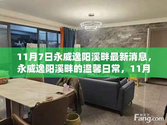 永威逸阳溪畔11月7日惊喜揭秘,温馨日常与意外之喜