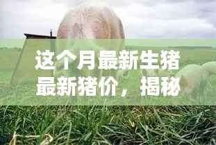 最新生猪智能预测系统引领行业革新,智慧养猪新时代开启,本月猪价科技揭秘