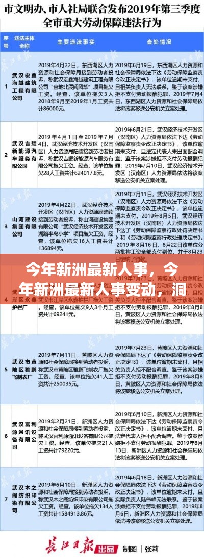 今年新洲人事大调整,洞悉深层影响与最新变动