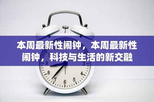 科技与生活的新交融,本周最新性闹钟介绍