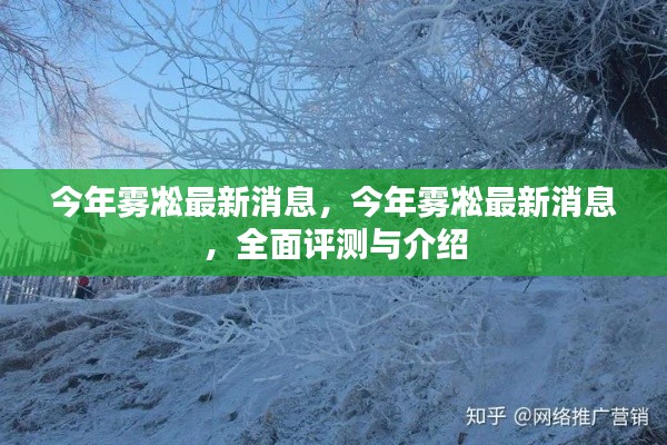 今年雾凇最新消息,全面评测与详细介绍