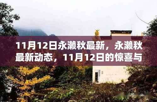 永濑秋最新动态,11月12日的惊喜与期待