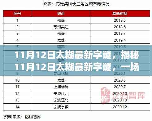 揭秘太糊最新字谜，文字游戏的魅力与挑战，11月12日独家解析！