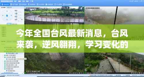今年全国台风最新动态,逆风翱翔,梦想与力量并行