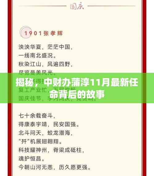 揭秘,中财办蒲淳11月最新任命背后的故事