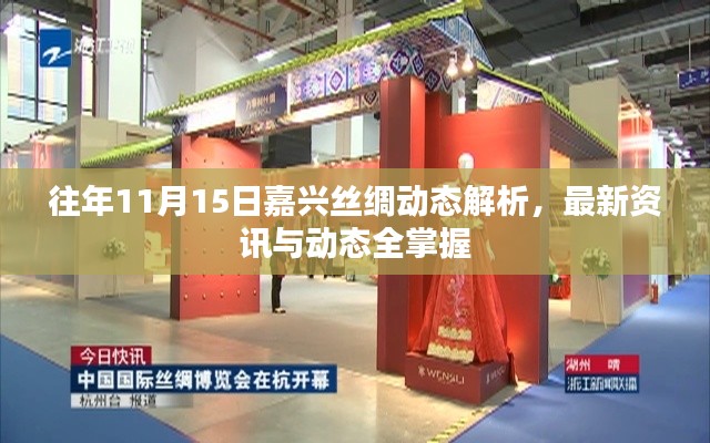 往年11月15日嘉兴丝绸动态解析,最新资讯与动态全掌握