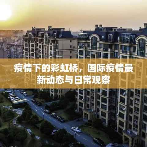 疫情下的彩虹桥,国际疫情最新动态与日常观察