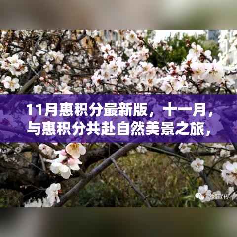 11月惠积分最新版,与自然美景共赴内心平和之旅