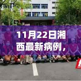 湘西最新病例背后的温暖故事与友情纽带,日常中的不寻常纪事(11月22日)
