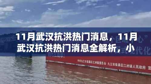 11月武汉抗洪热门消息,11月武汉抗洪热门消息全解析,小红书社区关注焦点