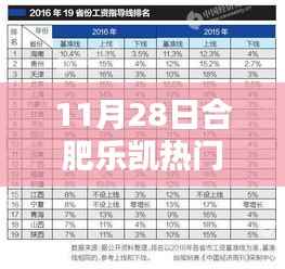 合肥乐凯热门工资收入详解,特性、体验、竞品对比及目标用户分析评测报告