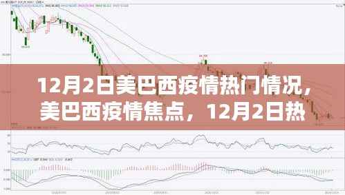 12月2日美巴西疫情焦点,深度解析热门情况