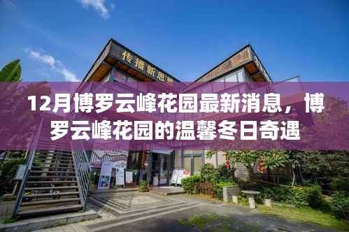 博罗云峰花园冬日奇遇,最新消息一览