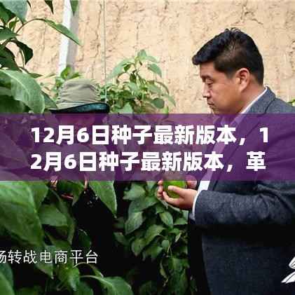 革新与挑战并存,揭秘种子最新版本的更新与变革