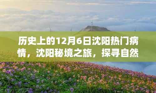 沈阳秘境之旅,探寻自然美景与疫情下的历史记忆