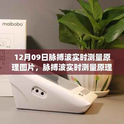 12月09日脉搏波实时测量原理详解及图片展示