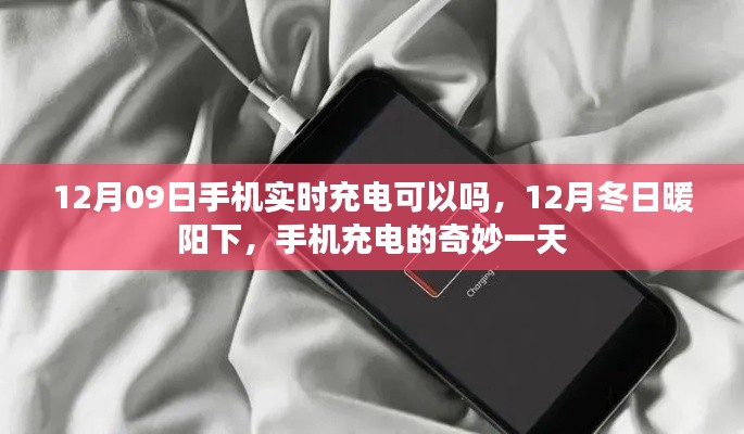 冬日暖阳下的充电奇妙日,手机实时充电探索
