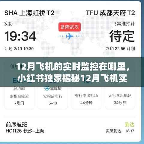 小红书独家揭秘，轻松掌握航班动态，揭秘飞机实时轨迹监控全攻略！