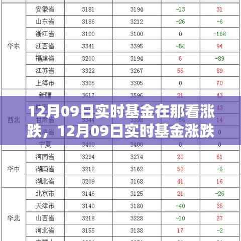 12月09日实时基金动态,涨跌观察与解析