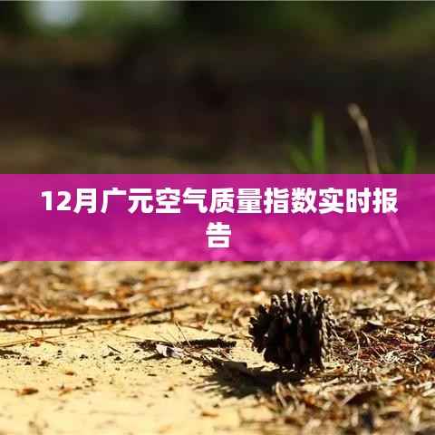 广元空气质量指数实时更新报告(12月)