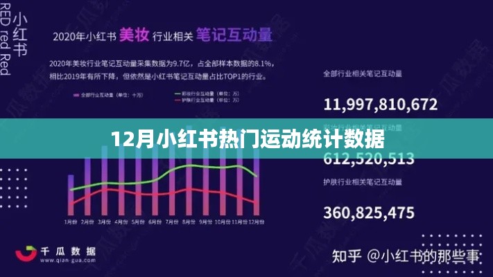 小红书运动数据榜单出炉，揭秘十二月热门运动风潮
