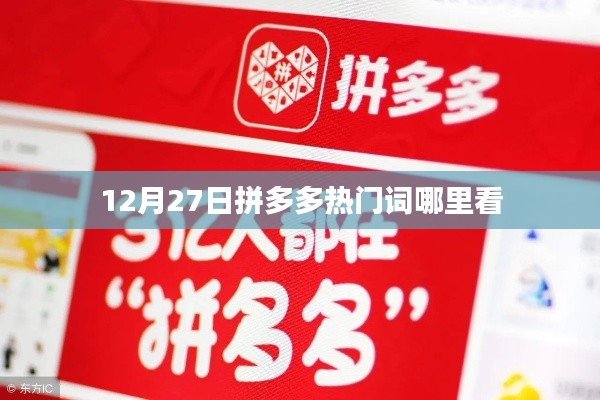 拼多多热门词查看指南,12月27日哪里看最热门?