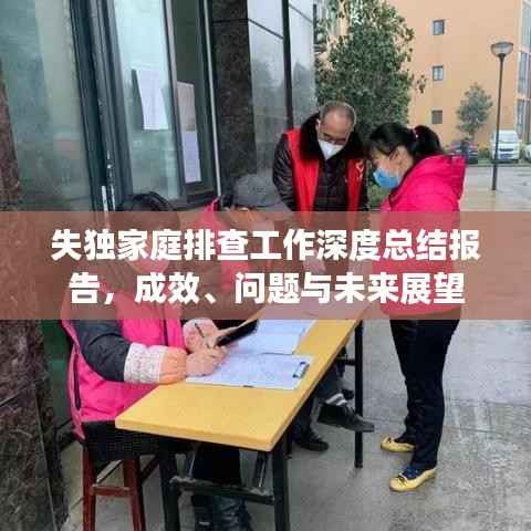 失独家庭排查工作深度总结报告,成效、问题与未来展望