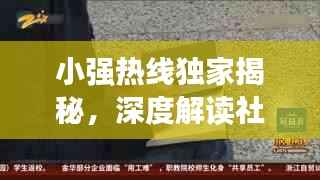 小强热线独家揭秘,深度解读社会热点话题