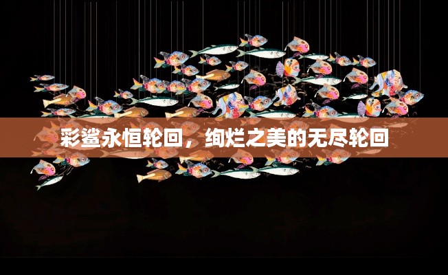 彩鲨永恒轮回,绚烂之美的无尽轮回