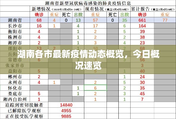 湖南各市最新疫情动态概览,今日概况速览