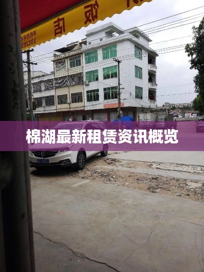 棉湖最新租赁资讯概览