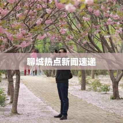 聊城热点新闻速递