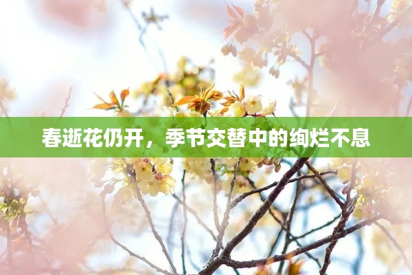 春逝花仍开，季节交替中的绚烂不息