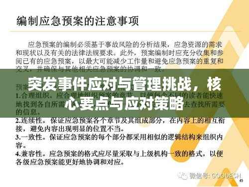突发事件应对与管理挑战，核心要点与应对策略