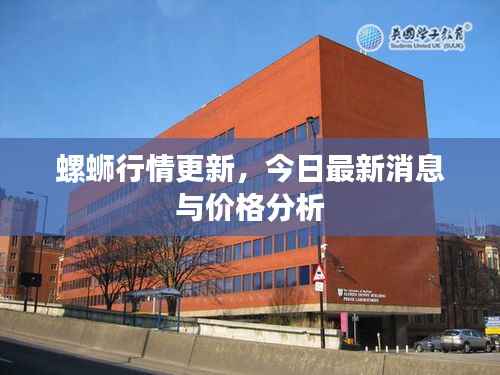 螺蛳行情更新,今日最新消息与价格分析