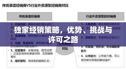 独家经销策略,优势、挑战与许可之路