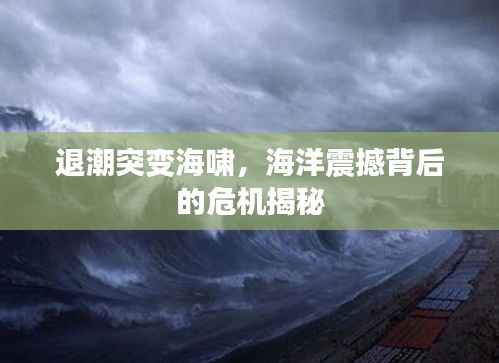 退潮突变海啸,海洋震撼背后的危机揭秘