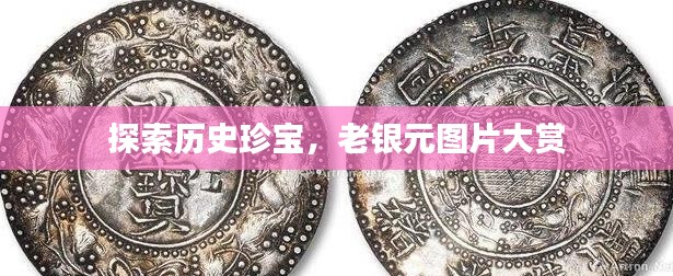 探索历史珍宝,老银元图片大赏