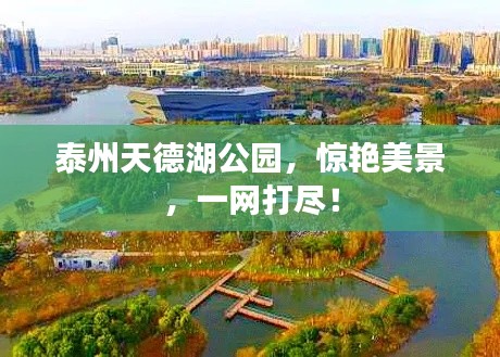泰州天德湖公园,惊艳美景,一网打尽!