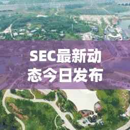 SEC最新动态今日发布