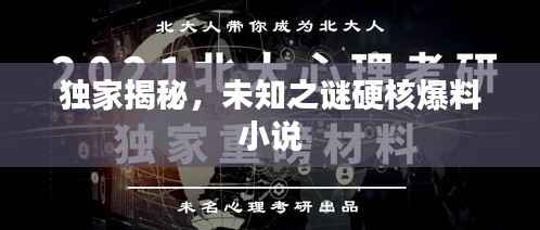 独家揭秘,未知之谜硬核爆料小说