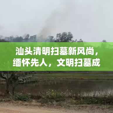 汕头清明扫墓新风尚,缅怀先人,文明扫墓成焦点