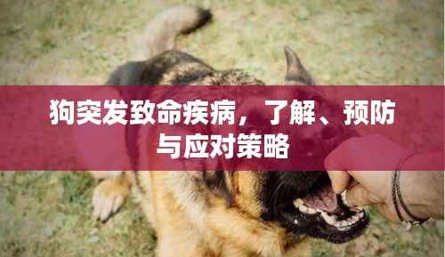 后会难期