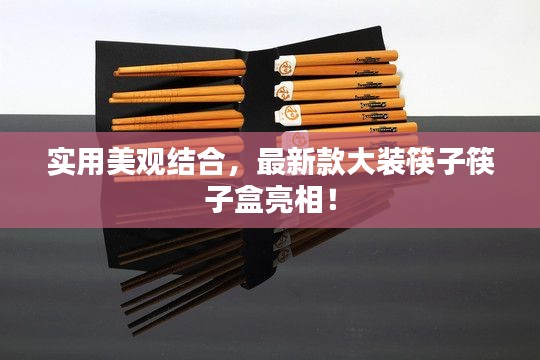 实用美观结合,最新款大装筷子筷子盒亮相!